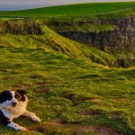 cliffs_of_moher_tour