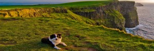 cliffs_of_moher_tour