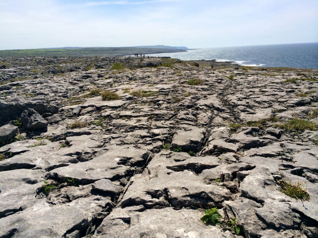 Burren, Cliffs of Moher tour