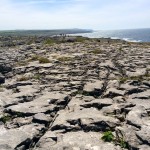 Burren, Cliffs of Moher tour