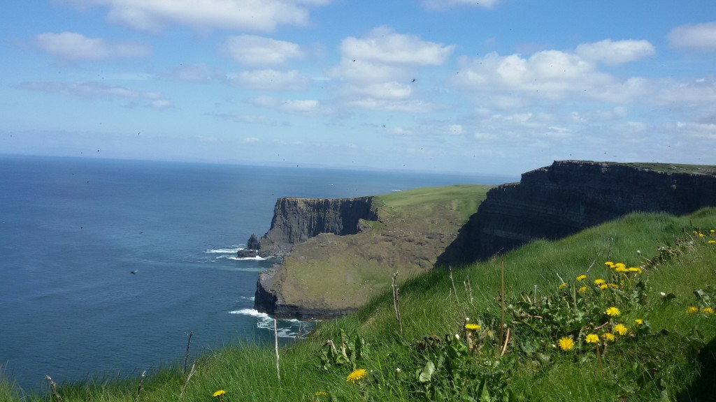 Escursione alle Cliffs of Moher, scogliere