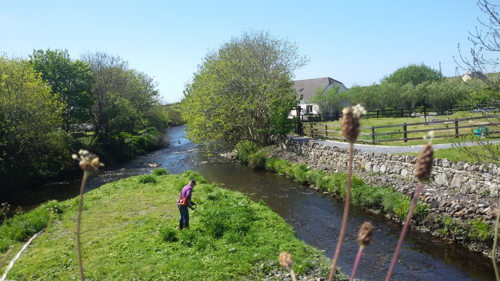 Day tour to the Cliffs of Moher, village of Doolin