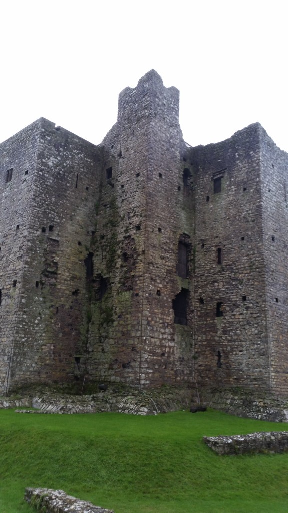 Inside the grounds of Trim Castle, A Day in The Boyne Valley