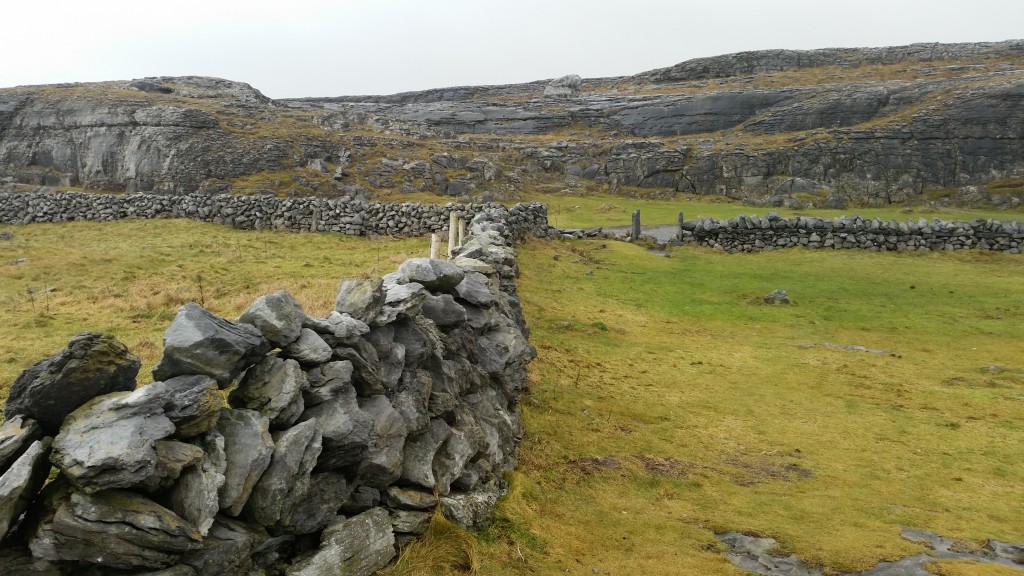 Stonewalling in the Burren, cliffs of moher ireland