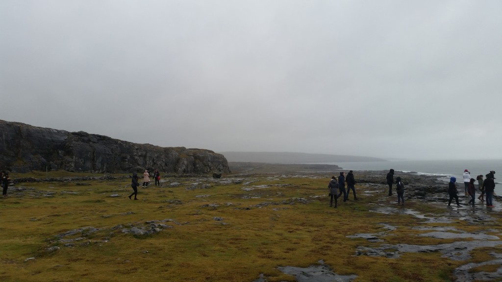 The coastline along the Burren, cliffs of moher ireland