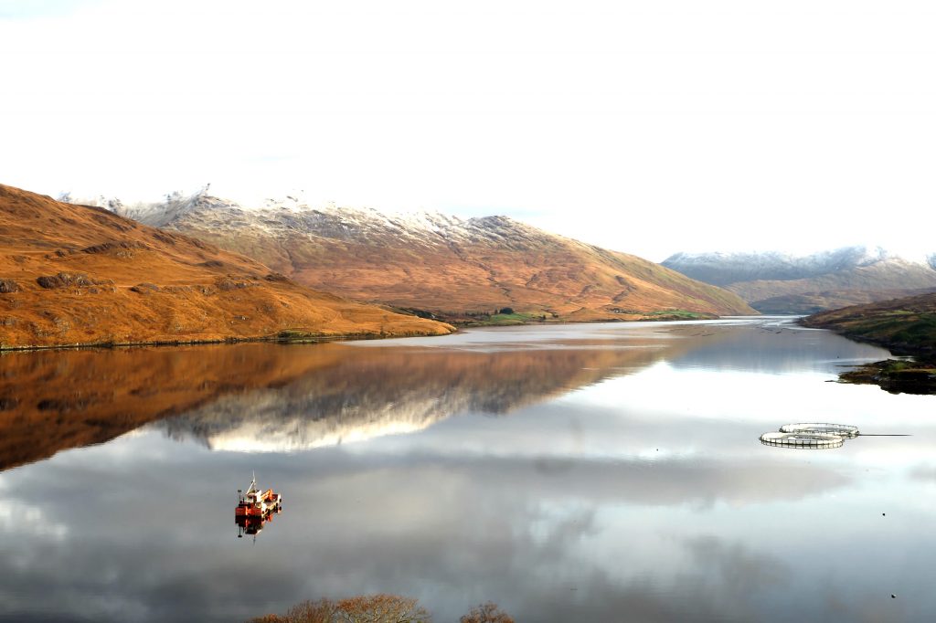 Lake View, Connemara