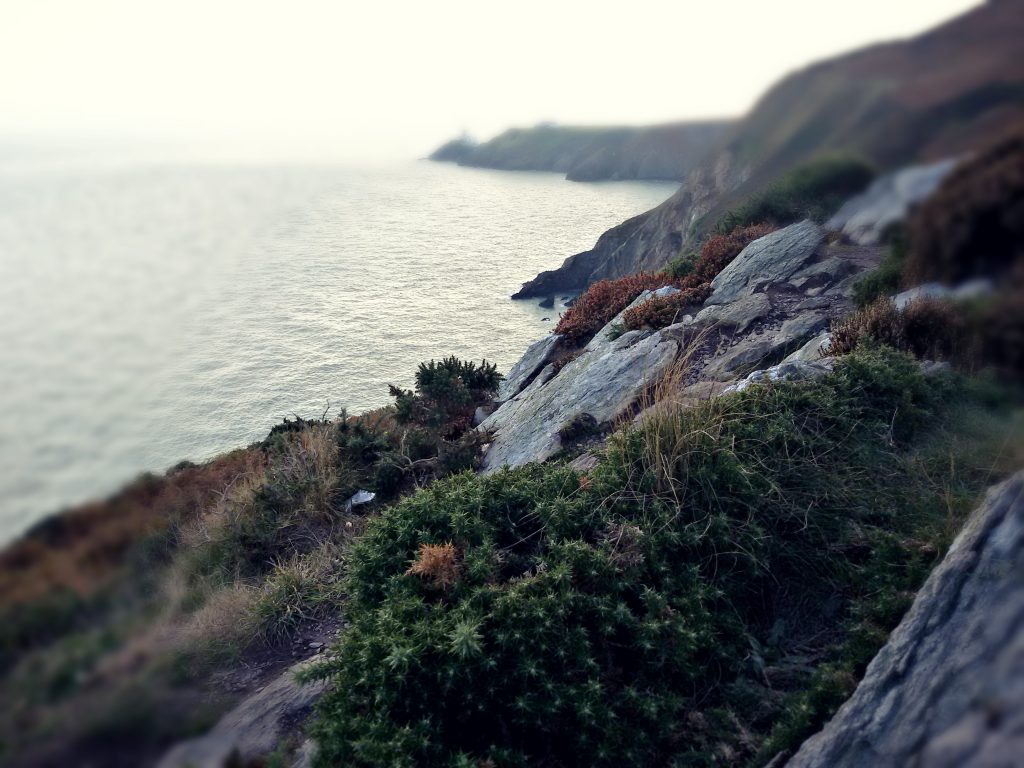 vista dalla scogliera, Howth