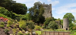 Blarney Castle tour