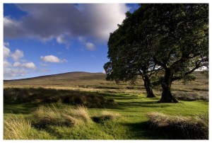 Wicklow scenery